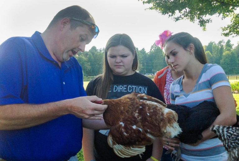 Acte Names Kentucky Agriculture Teacher As National Award Finalist 